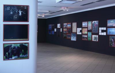 Fotografia Dzikiej Przyrody 2008, ekspozycja w Galerii Bielskiej BWA, wrzesień 2009