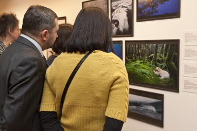 Wernisaż wystawy Fotografia Dzikiej Przyrody 2012, 5.04.2013, Galeria Bielska BWA, fot. K. Morcinek