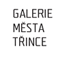 Galerie mesta Trinec