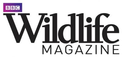 BBC Wildlife Magazine 