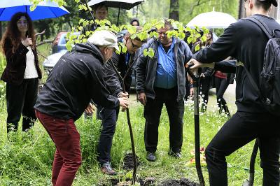Powitanie drzewa - akcja sadzenia lipy drobnolistnej w ogrodzie przy Willi Sixta, Festiwal EKODZIEŁO