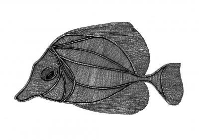 Natalia Klęczar, Fish Illustration cycle 2, digital printing