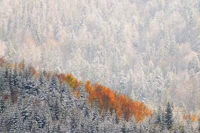 © Michał Budzyński, Ostatnie tchnienie jesieni